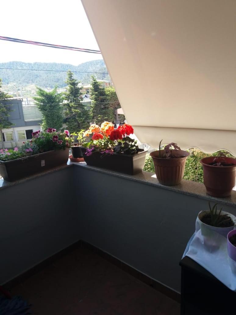 Luander Hotel Tiranë Rom bilde